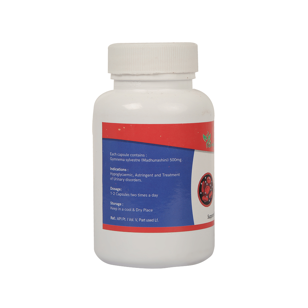 Sage Vedics Madhunashini Capsule - Image 3
