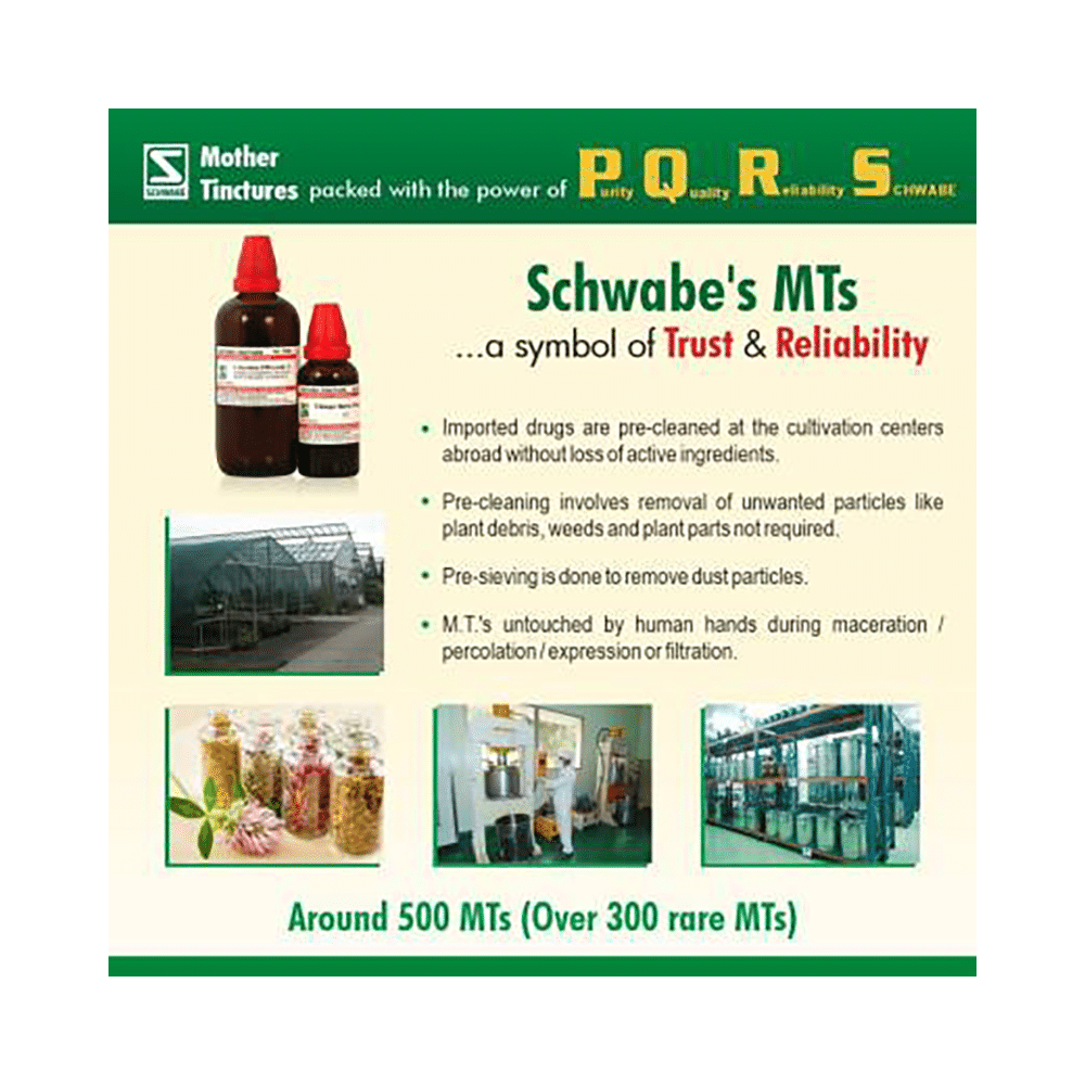 Dr Willmar Schwabe India Arnica Montana Mother Tincture Q - Image 3