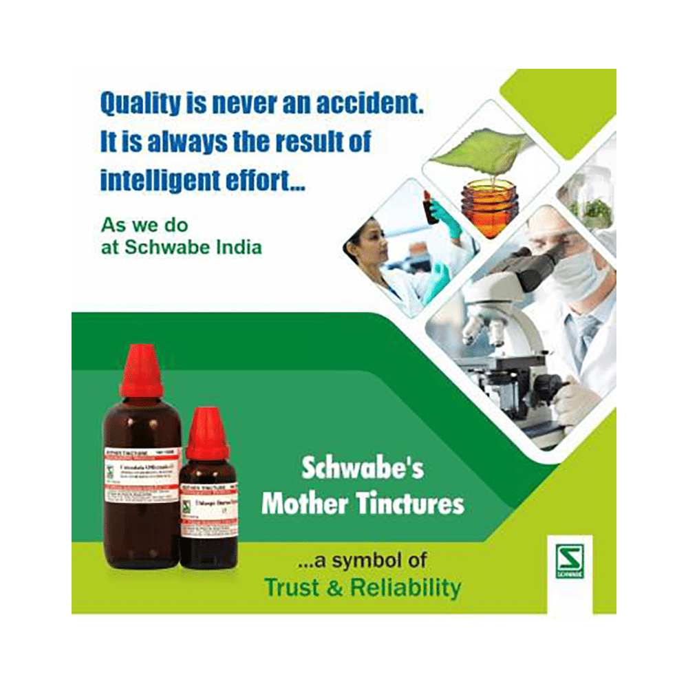 Dr Willmar Schwabe India Arnica Montana Mother Tincture Q - Image 4