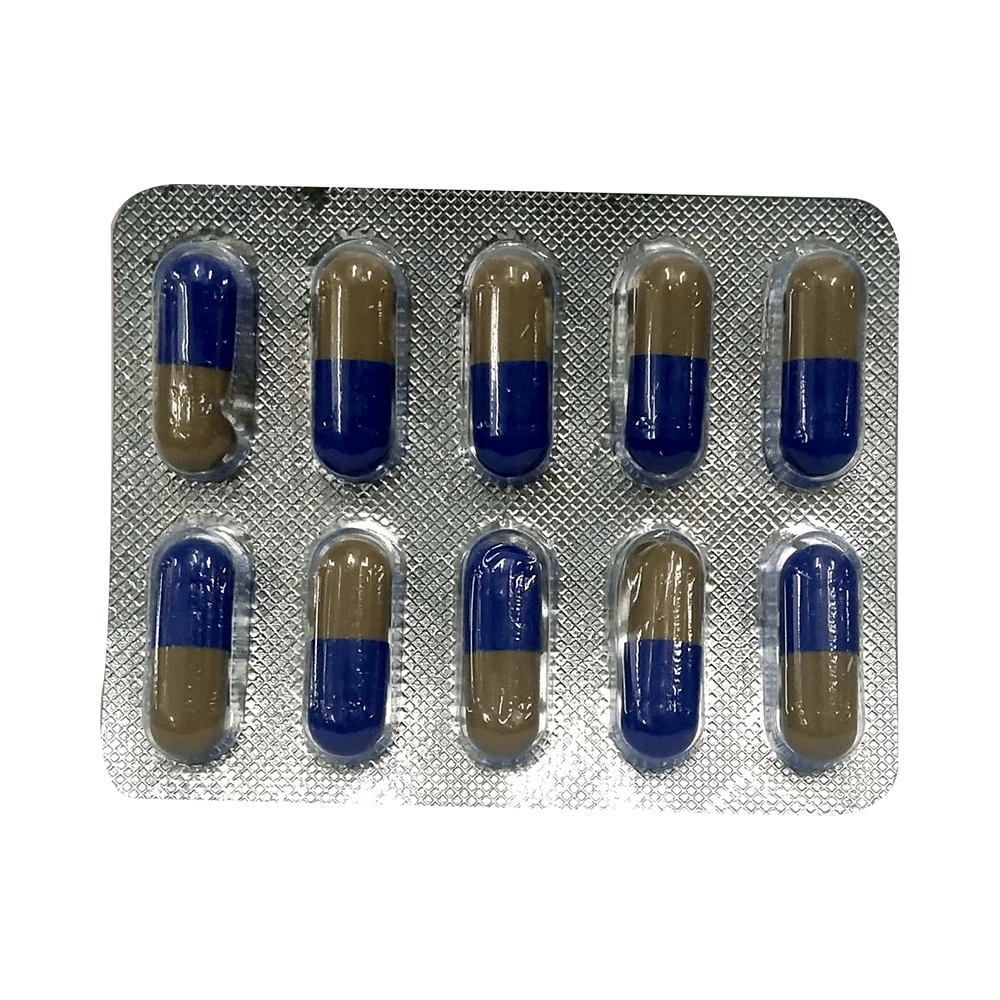 Anidox-LB Capsule - Image 4