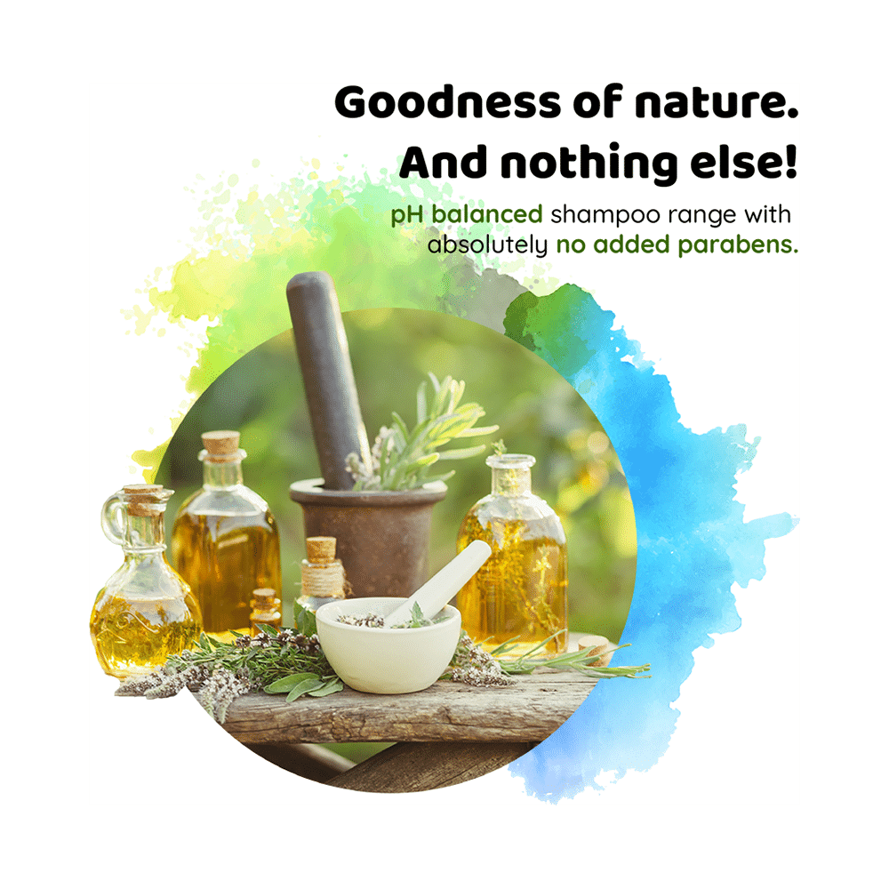Nyle Naturals Anti-Dandruff Shampoo - Image 6