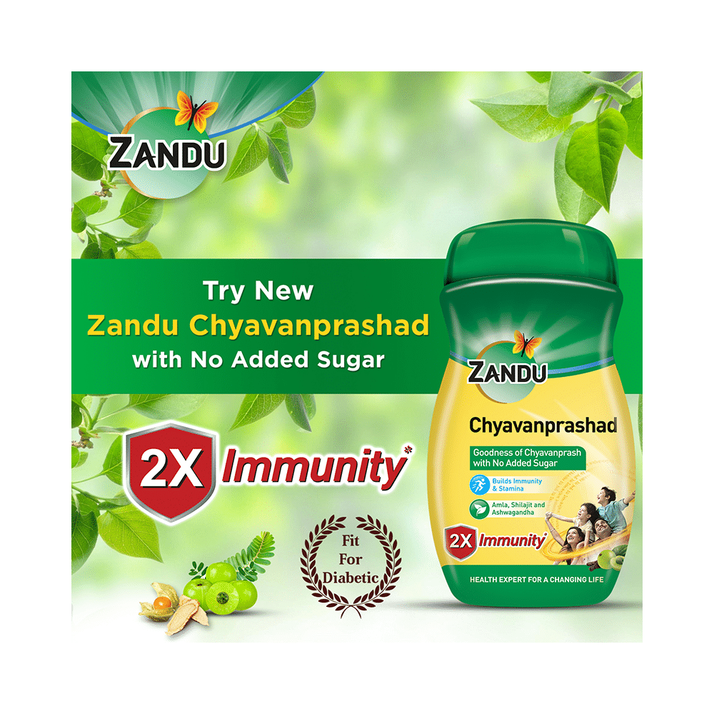 Zandu Chyavanprashad with Amla, Shilajit & Ashwagandha |  For Immunity & Stamina | Sugar-Free - Image 4