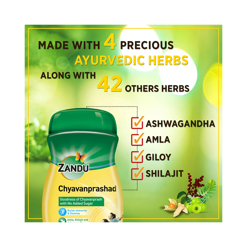Zandu Chyavanprashad with Amla, Shilajit & Ashwagandha |  For Immunity & Stamina | Sugar-Free - Image 5