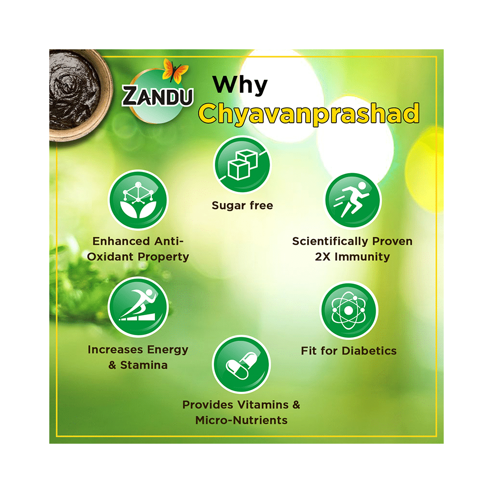 Zandu Chyavanprashad with Amla, Shilajit & Ashwagandha |  For Immunity & Stamina | Sugar-Free - Image 6