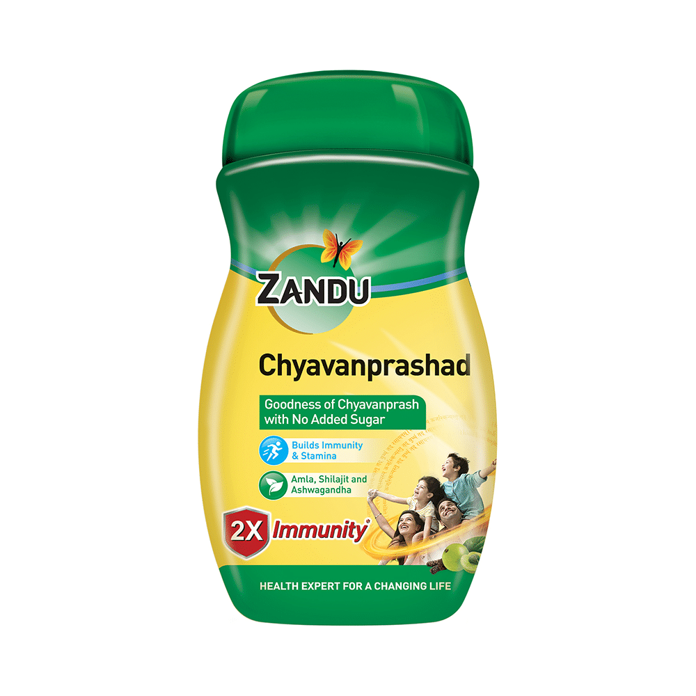 Zandu Chyavanprashad with Amla, Shilajit & Ashwagandha |  For Immunity & Stamina | Sugar-Free - Image 1