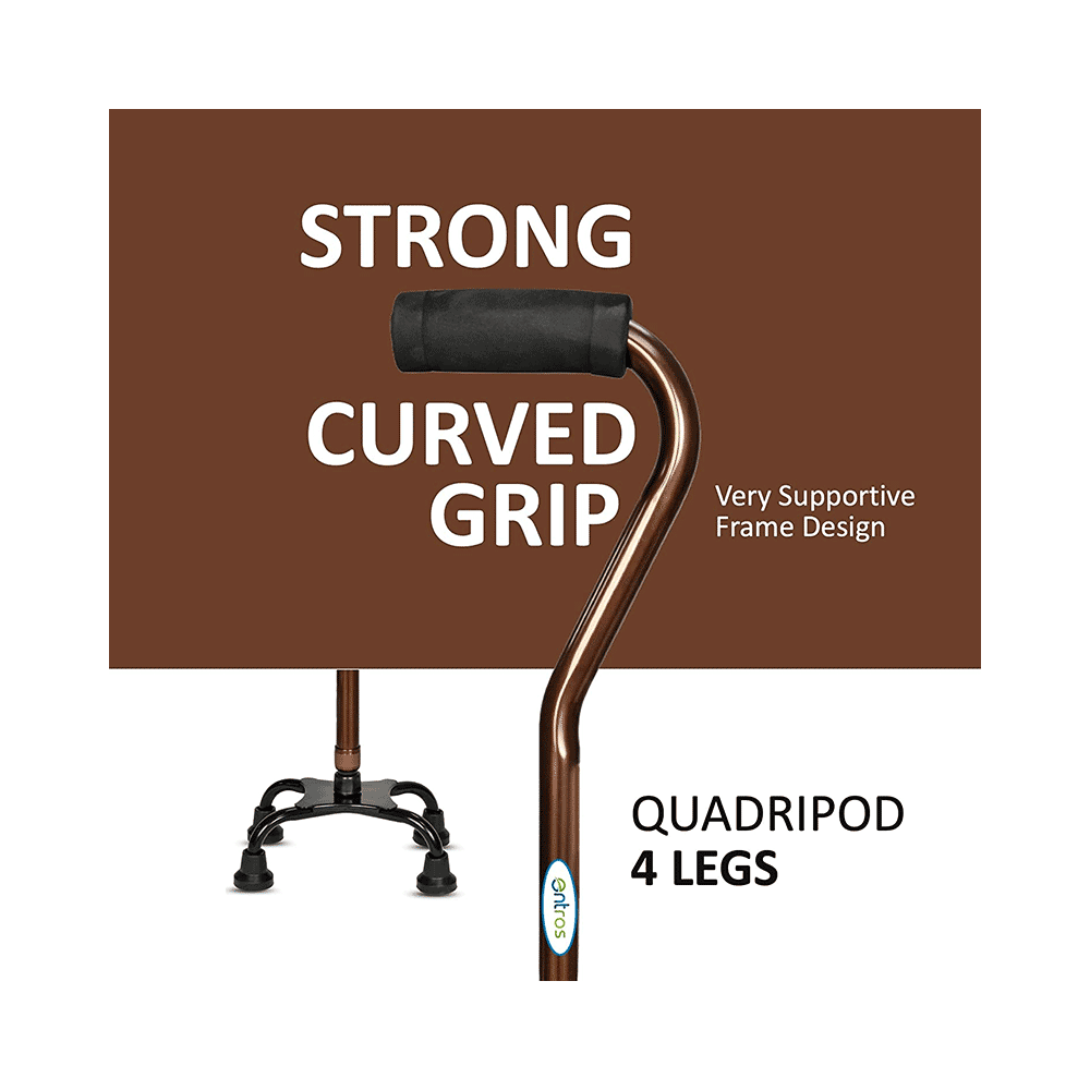 Entros KL947 4 Leg Imported Stylish Walking Stick - Image 2