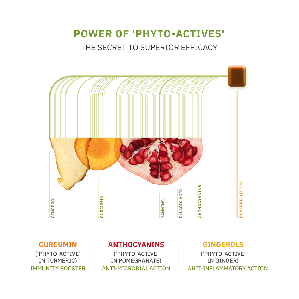 Phytorelief-CC Immunity Lozenges for Cough, Cold & Sore Throat (10 Each) | Sugar Free - Image 6