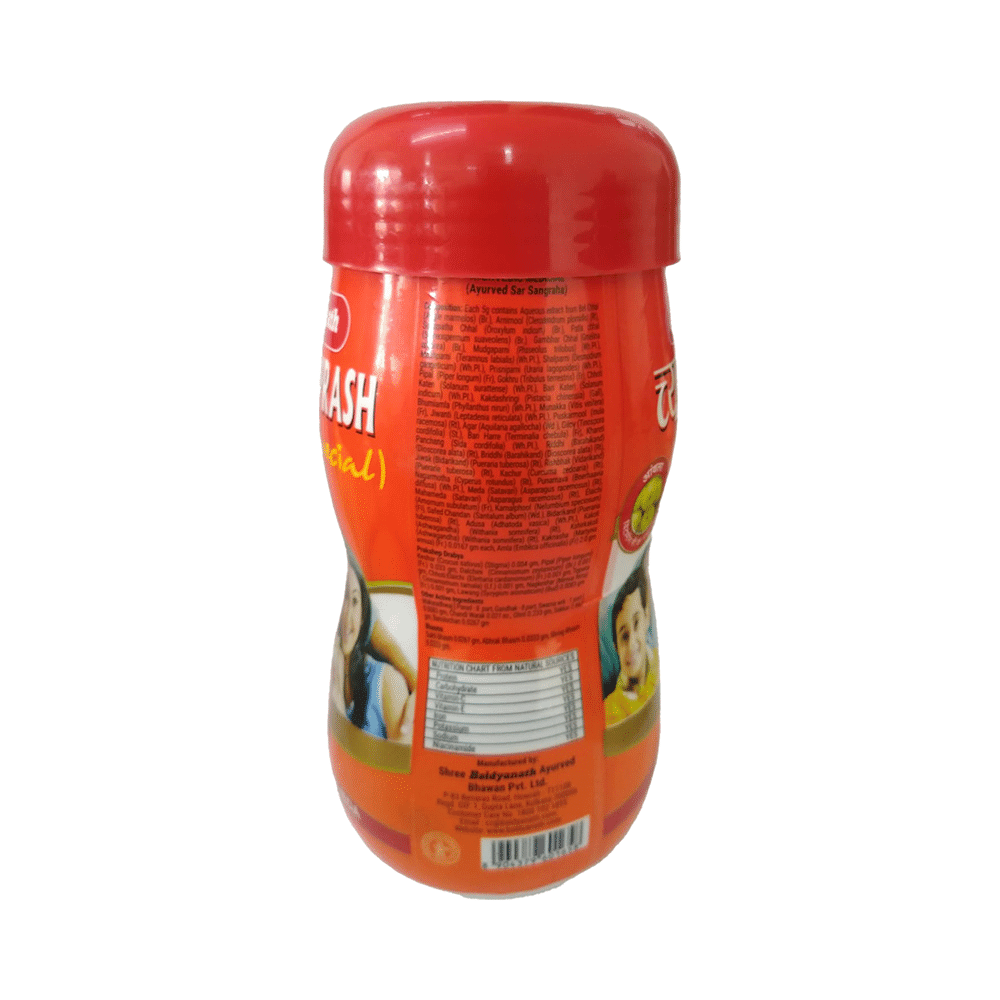 Baidyanath Chyawanprash Special - Image 2