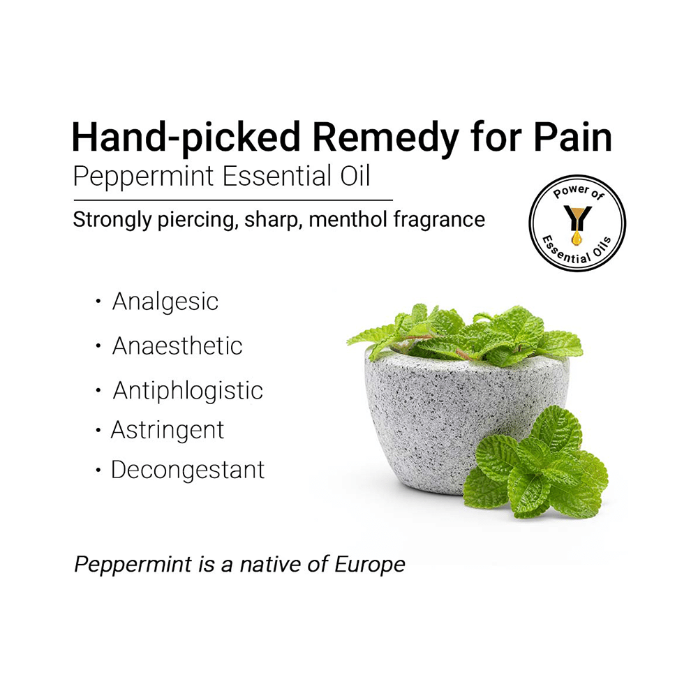 Keya Seth Aromatherapy Therapeutic Essential Oil Peppermint - Image 3