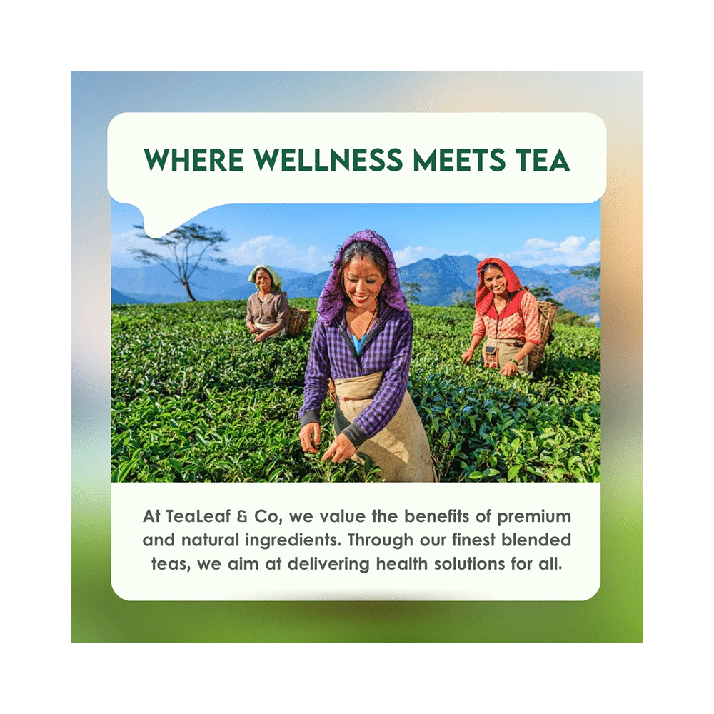 Tea Leaf & Co Mint Green Tea (2gm Each) - Image 6