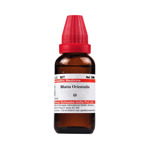 Dr Willmar Schwabe India Blatta Orientalis Mother Tincture Q - Image 1