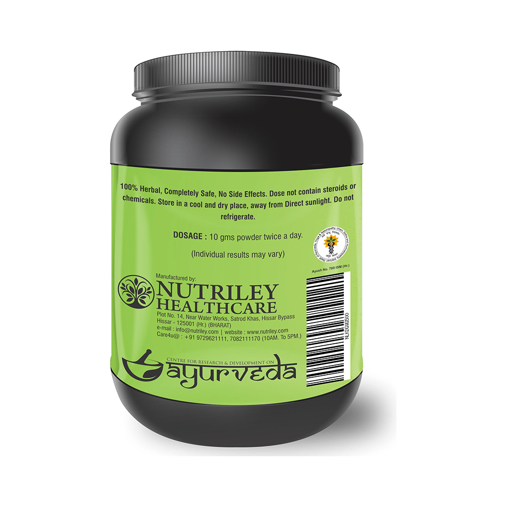 Nutriley Kidigain American Ice Cream Powder - Image 3