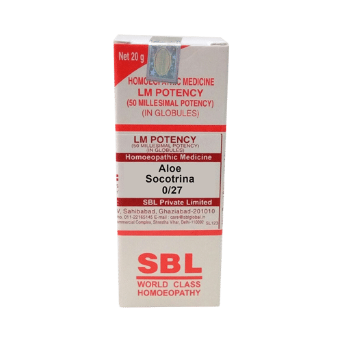 SBL Aloe Socotrina 0/27 LM - Image 1