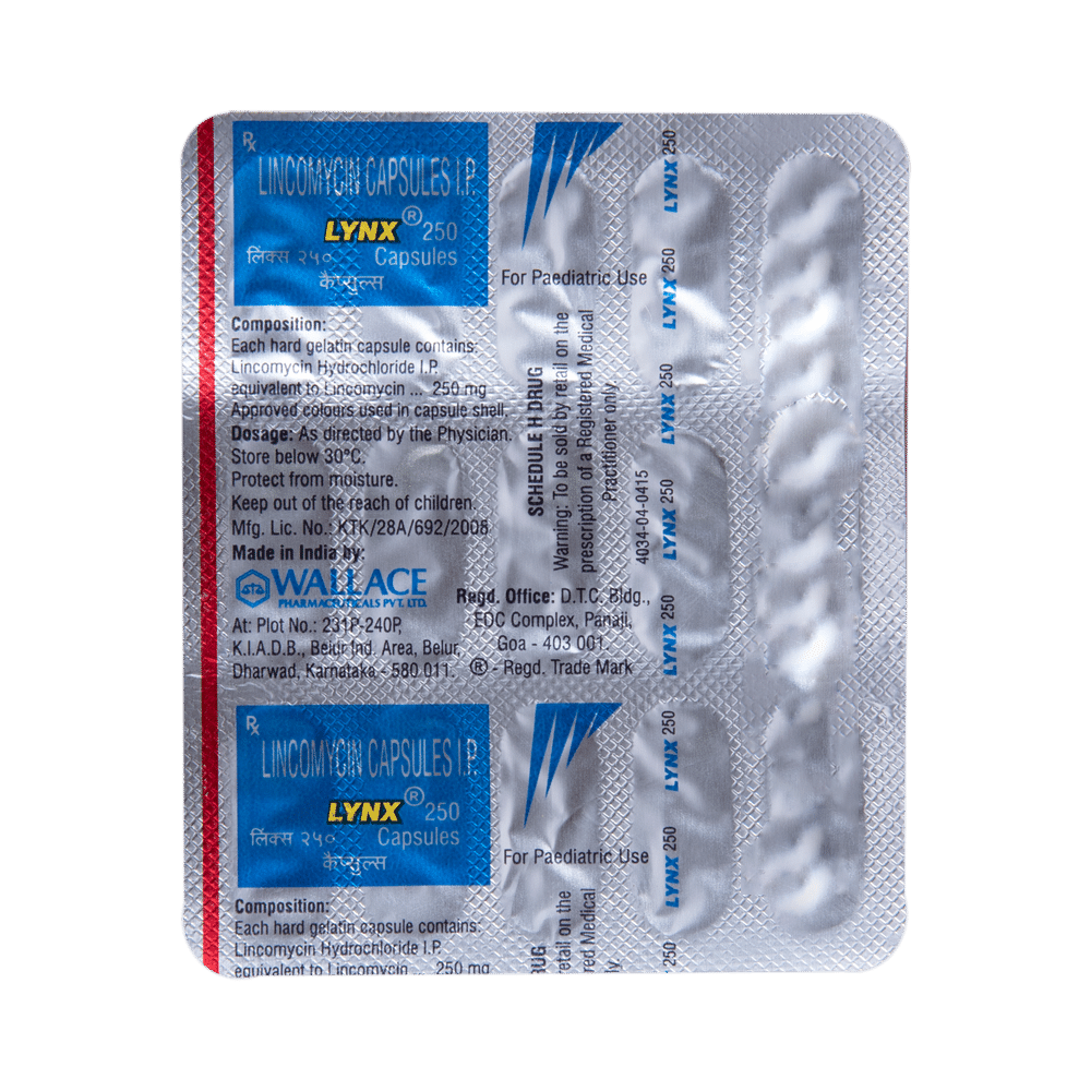 Lynx 250 Capsule - Image 5