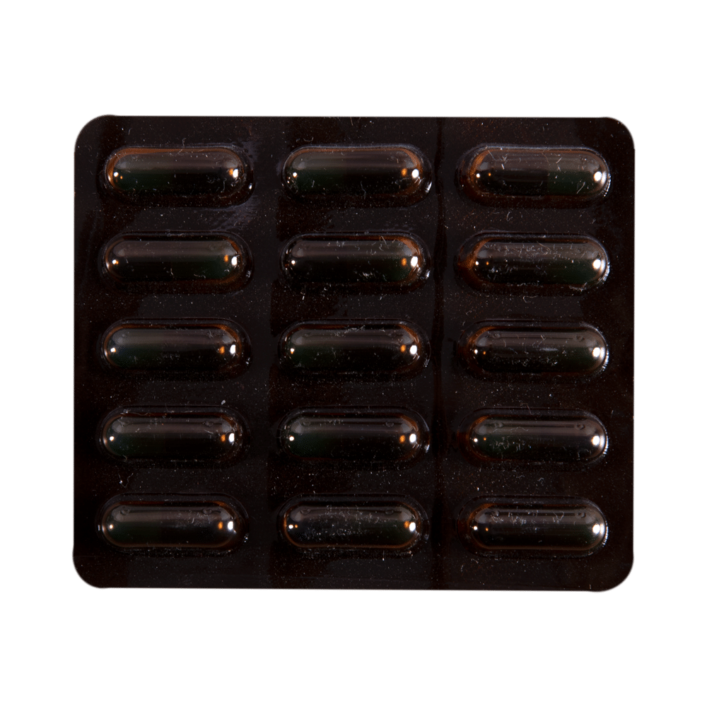 Lynx 250 Capsule - Image 4