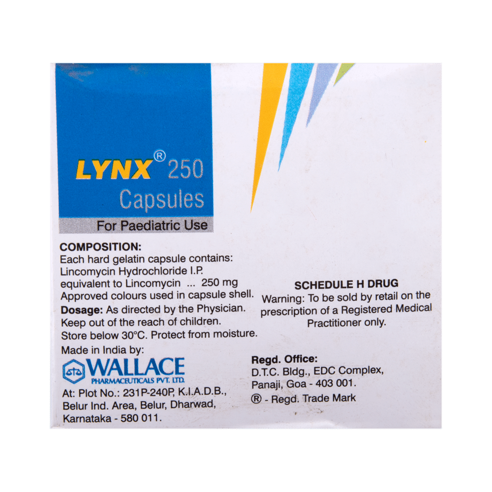 Lynx 250 Capsule - Image 3