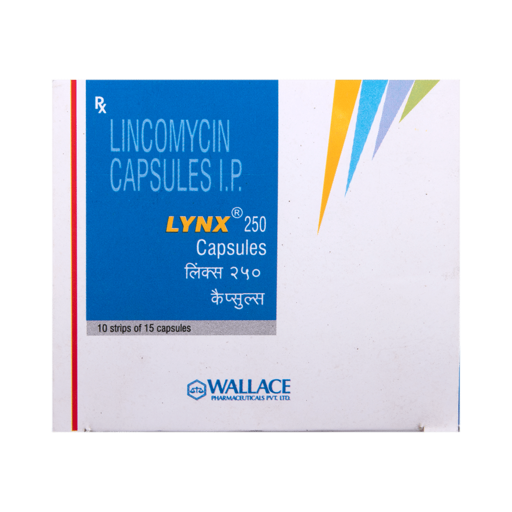 Lynx 250 Capsule - Image 2