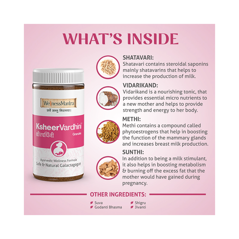 Wellness Mantra KsheerVardhini Granules - Image 2