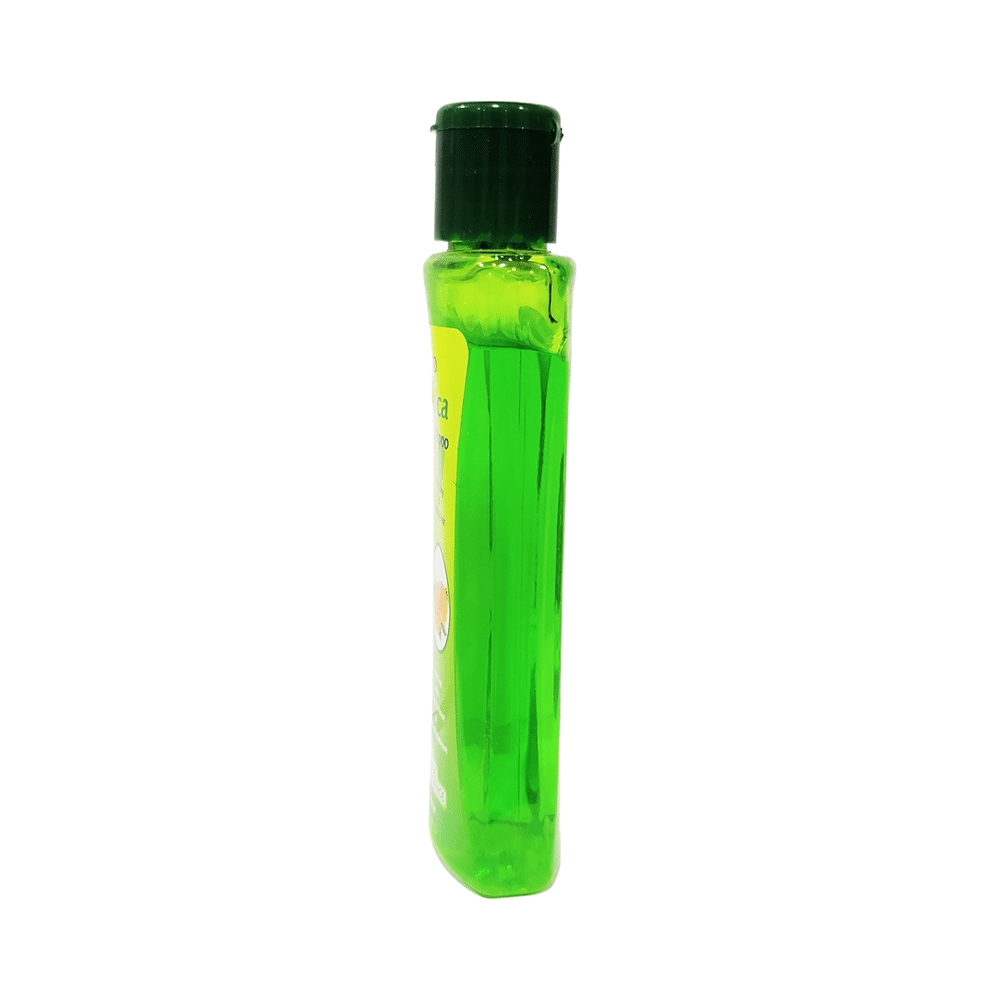 LDD Bioscience Arnica Shampoo - Image 4