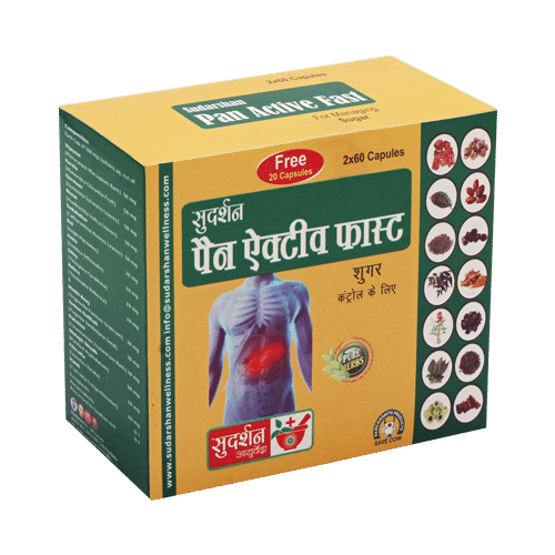 Sudarshan Ayurveda Pan Active Fast with 20 Capsule Free - Image 1