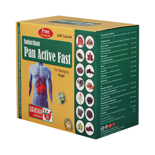 Sudarshan Ayurveda Pan Active Fast with 20 Capsule Free - Image 3