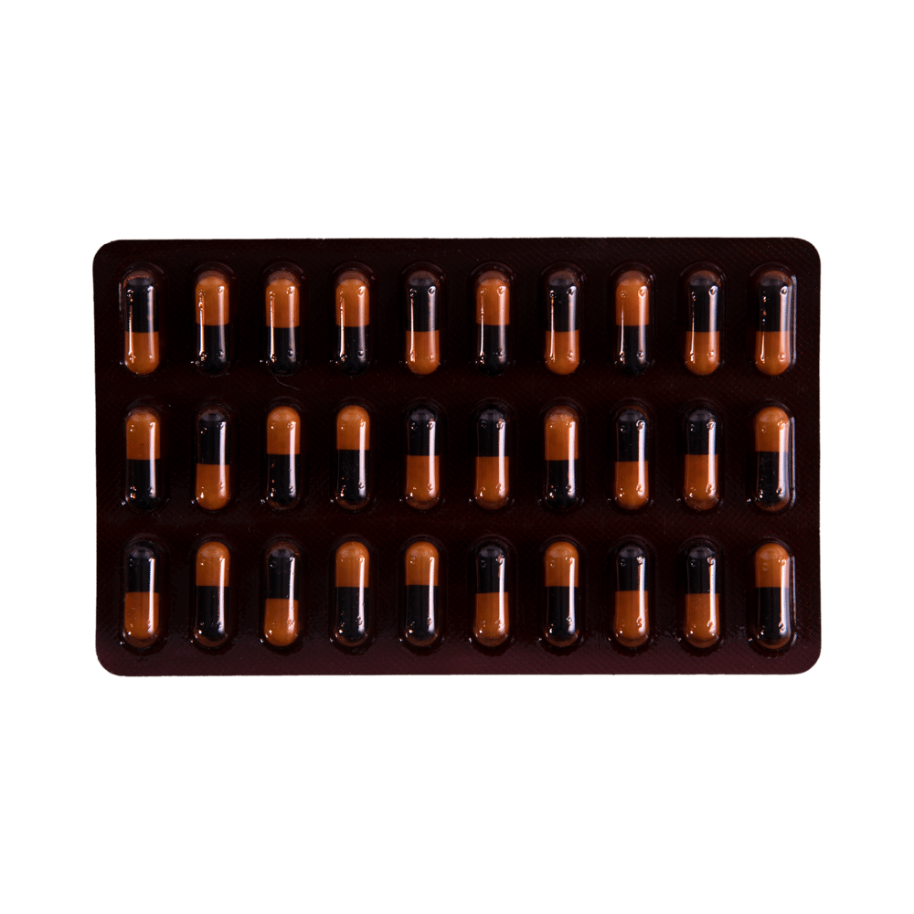 Zivinix-HC Capsule - Image 4