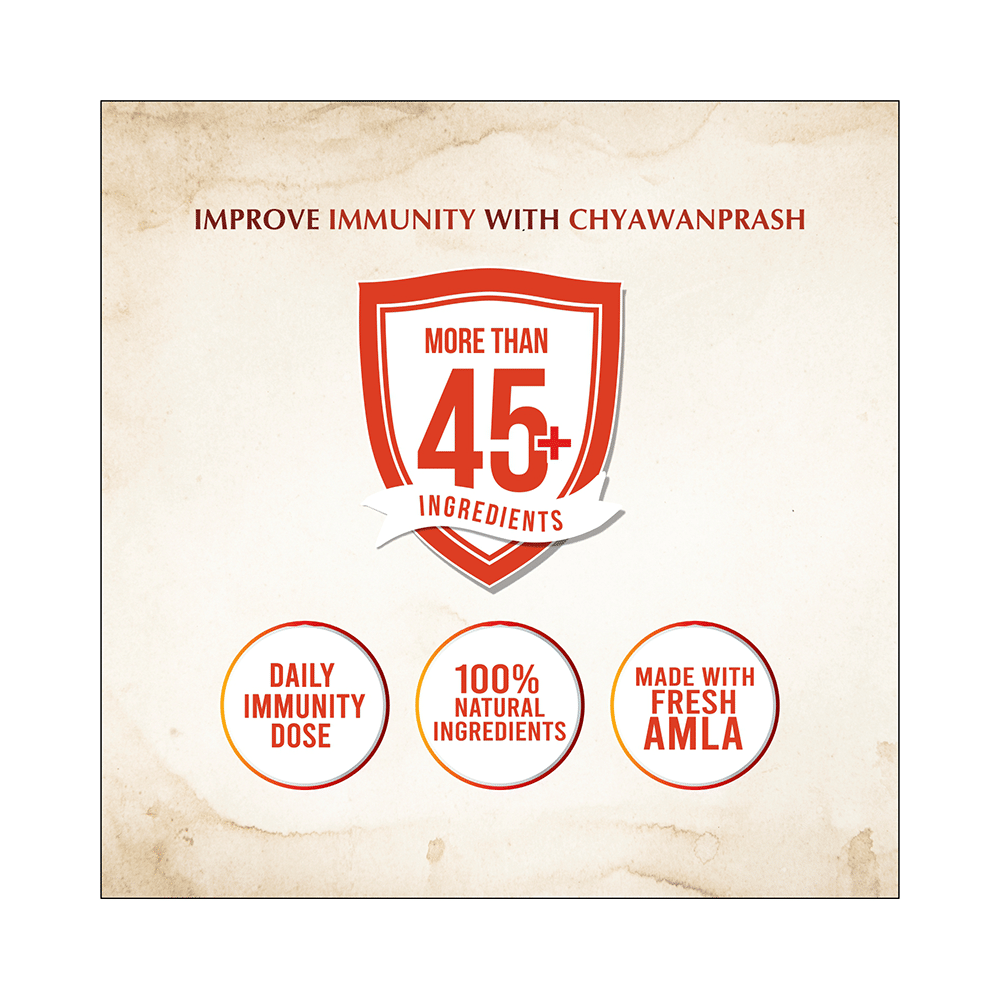 Pravek Chyawanprash - Image 6