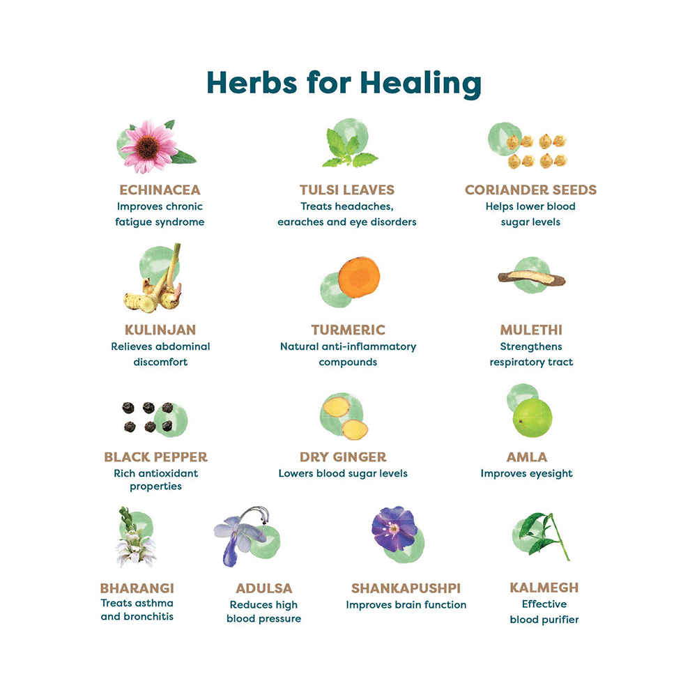 Wellbeing Nutrition Grandma's Kadha | Herbal Healing Water Soluble Tablet (15 Each) - Image 6