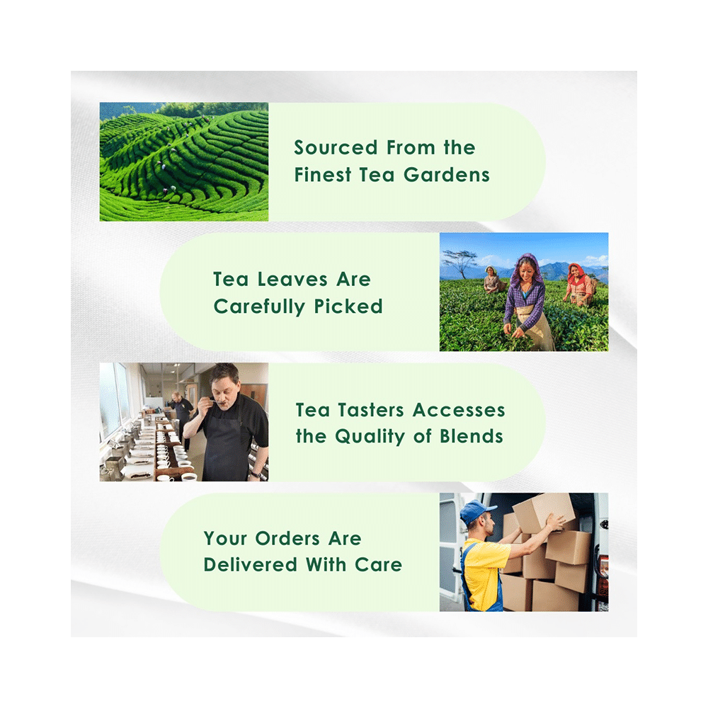 Tea Leaf & Co Himalayan Green Tea (2gm Each) - Image 8