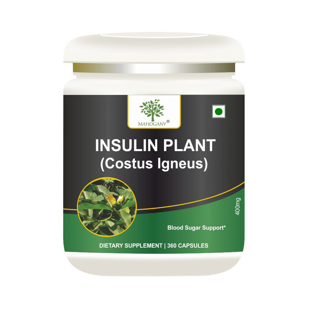 Mahogany Insulin Plant Capsule - Image 1