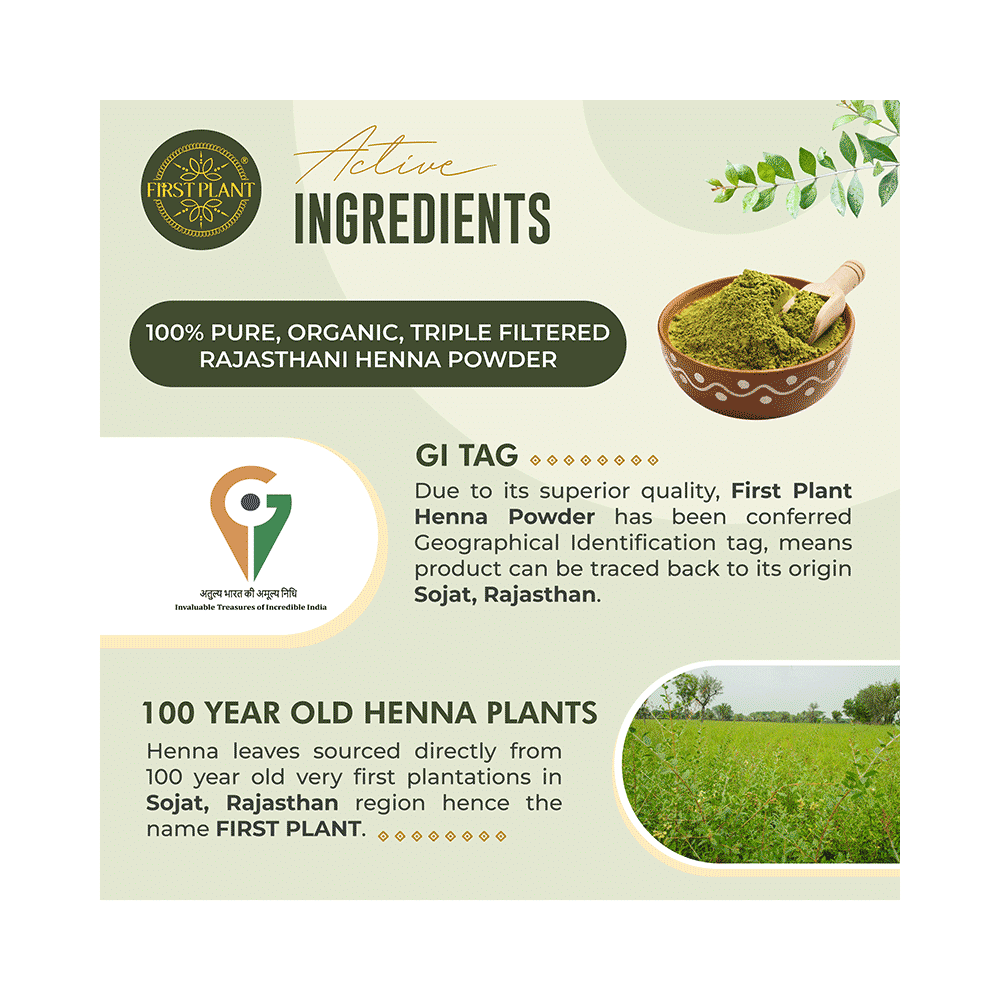 First Plant 100% Pure and Organic Henna Powder(200gm Each) - Image 3