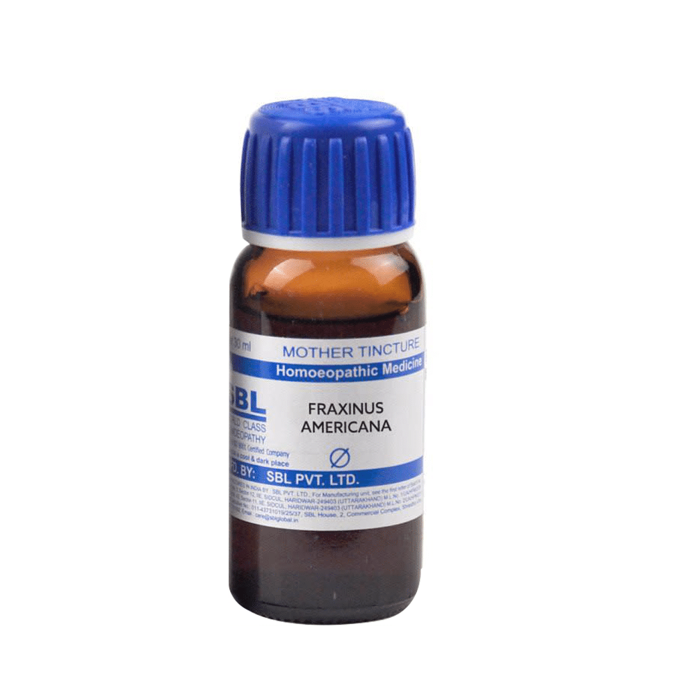 SBL Fraxinus Americana Mother Tincture Q - Image 2