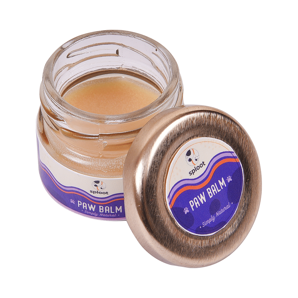 Sploot Paw Balm for Dogs (15gm Each) - Image 4