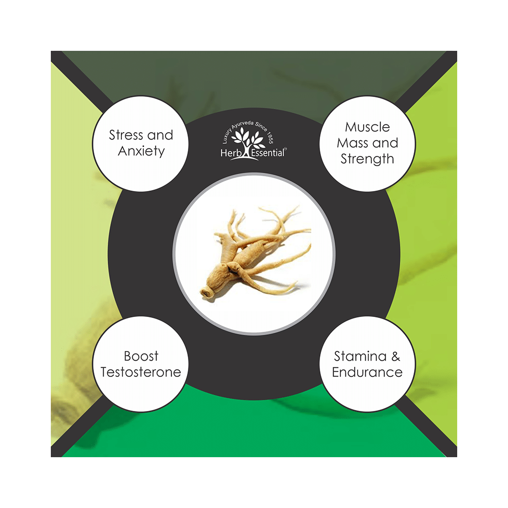 Herb Essential Ashwagandha (Withania Somnifera) Root Powder - Image 4