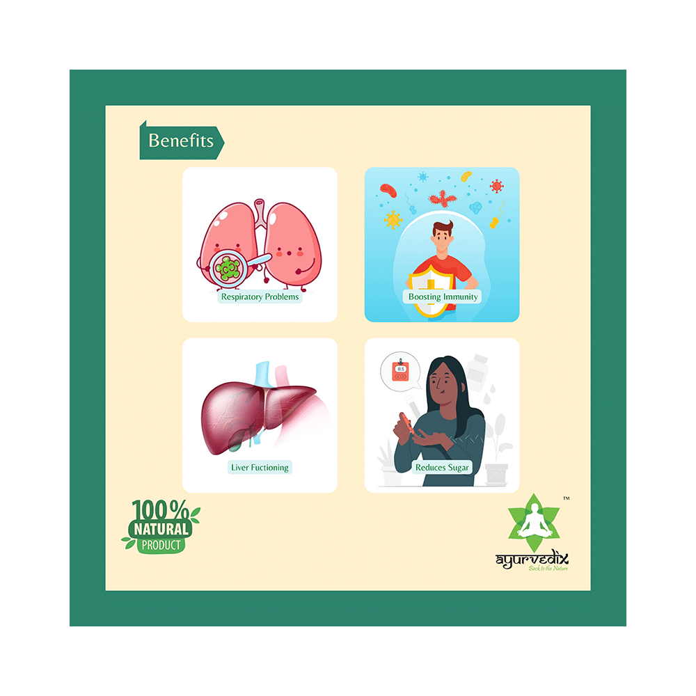 Ayurvedix Neem Giloy Ark (Indian Lilac & Giloy) - Image 4