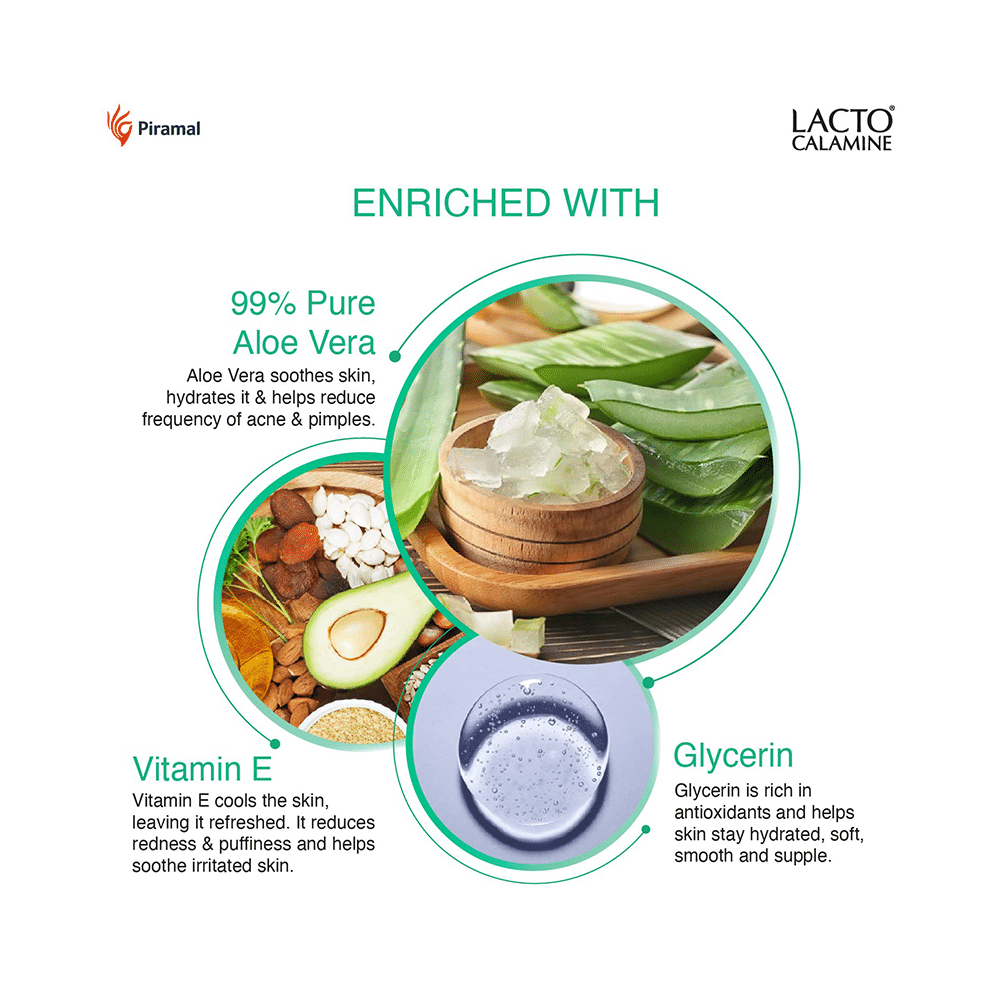 Combo Pack of Piramal Lacto Calamine Face Wash 100ml, Lacto Calamine Face Lotion for Oily Skin 120ml & Lacto Calamine Aloe Vera Gel 150gm - Image 21