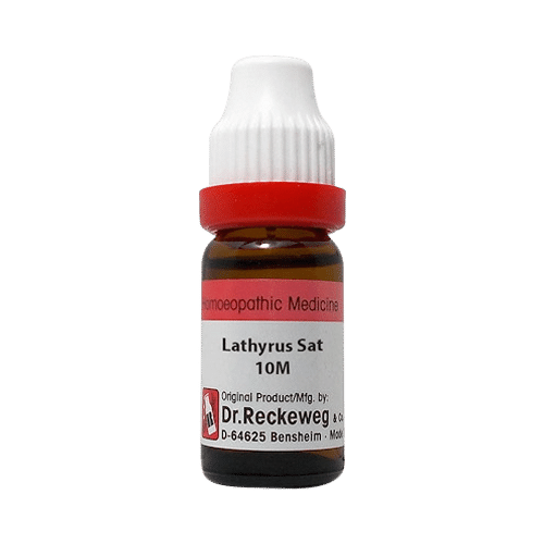 Dr. Reckeweg Lathyrus Sativus Dilution 10M CH - Image 1