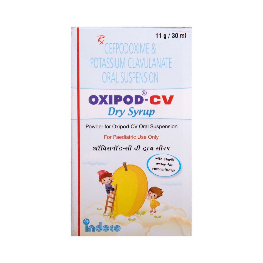 Oxipod-CV 50mg/5ml/31.25mg/5ml Dry Syrup - Image 2