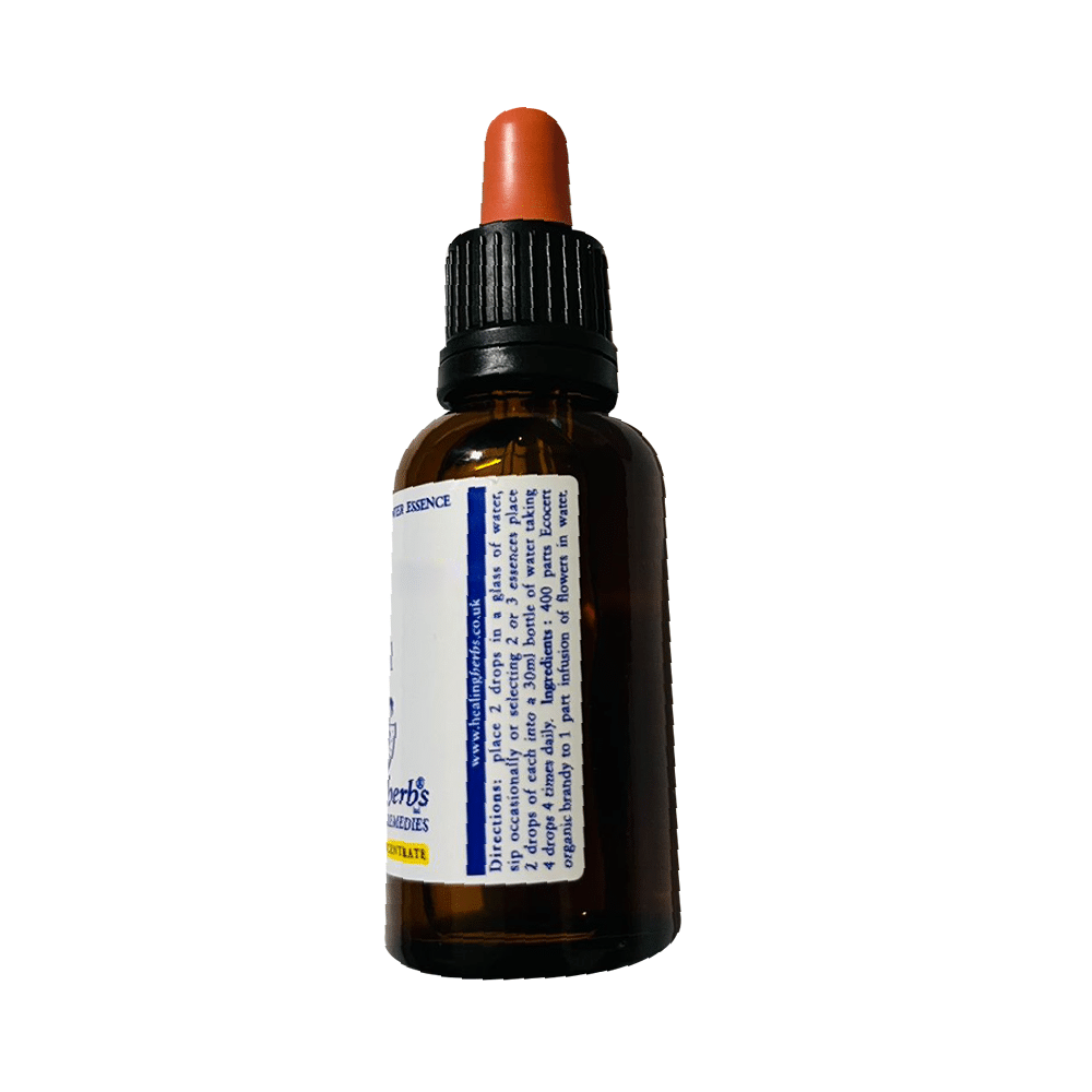 Healing Herbs Bach Flower Mimulus - Image 2