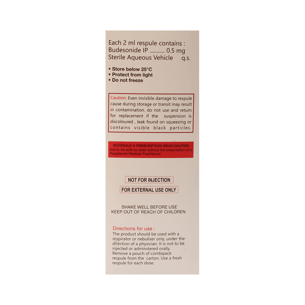 Budanour Respules - Image 2