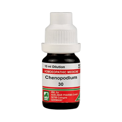 ADEL Chenopodium. Dilution 30 - Image 1