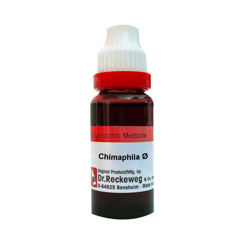 Dr. Reckeweg Chimaphila Mother Tincture Q - Image 1