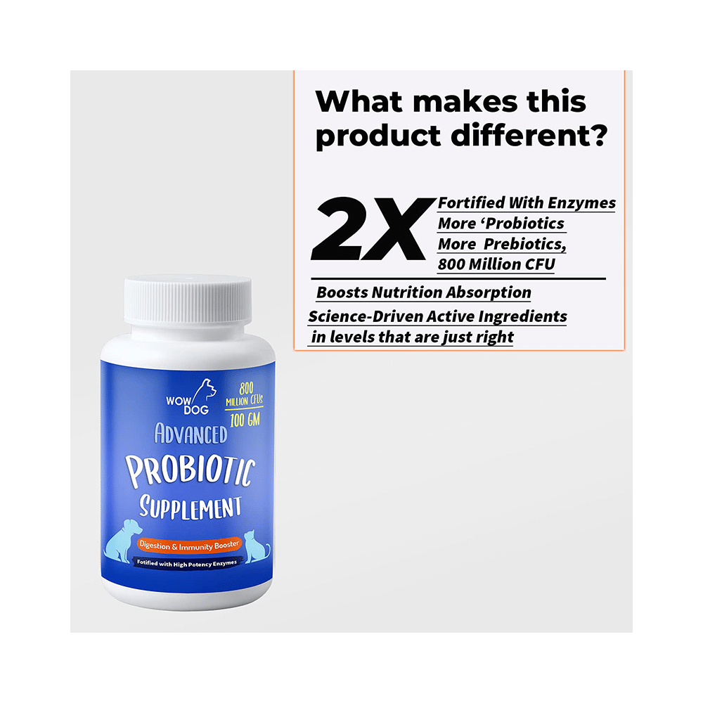 Wow Dog Advanced Probiotic Supplement - Image 2