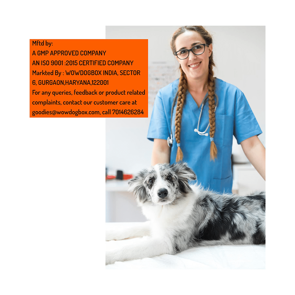Wow Dog Advanced Probiotic Supplement - Image 5