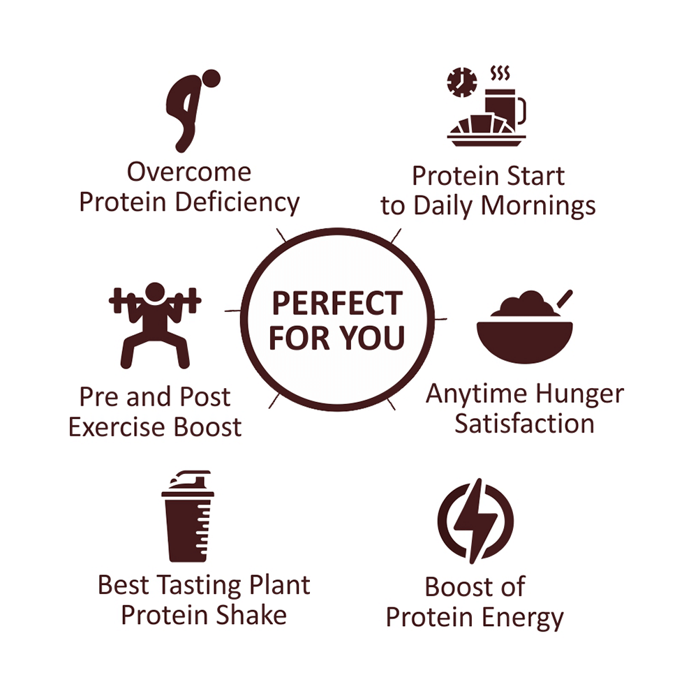 RiteBite Max Plant Protein Creamy Vanilla - Image 4