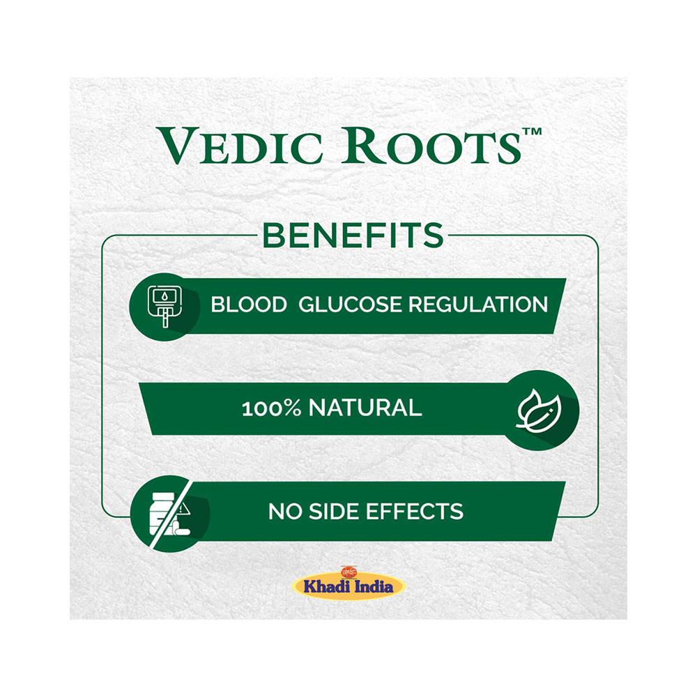 Vedic Roots Karela Kalp Anti-Diabetes Sugar Guard Granules - Image 2