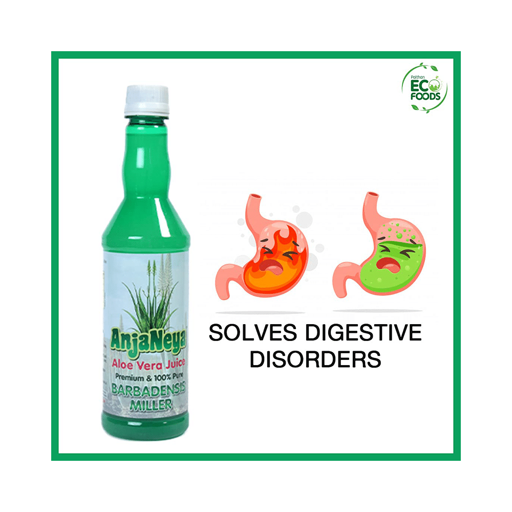 Anjaneya Aloe Vera Juice - Image 3
