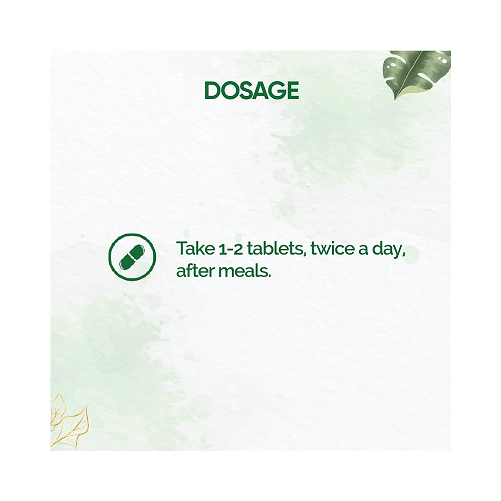 Dr. Vaidya's IBS Relief Tablet (30 Each) - Image 5