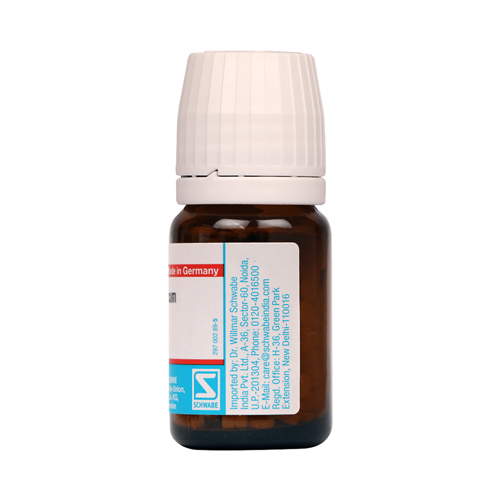 Dr Willmar Schwabe Germany Natrum Phosphoricum Biochemic Tablet 6X - Image 2