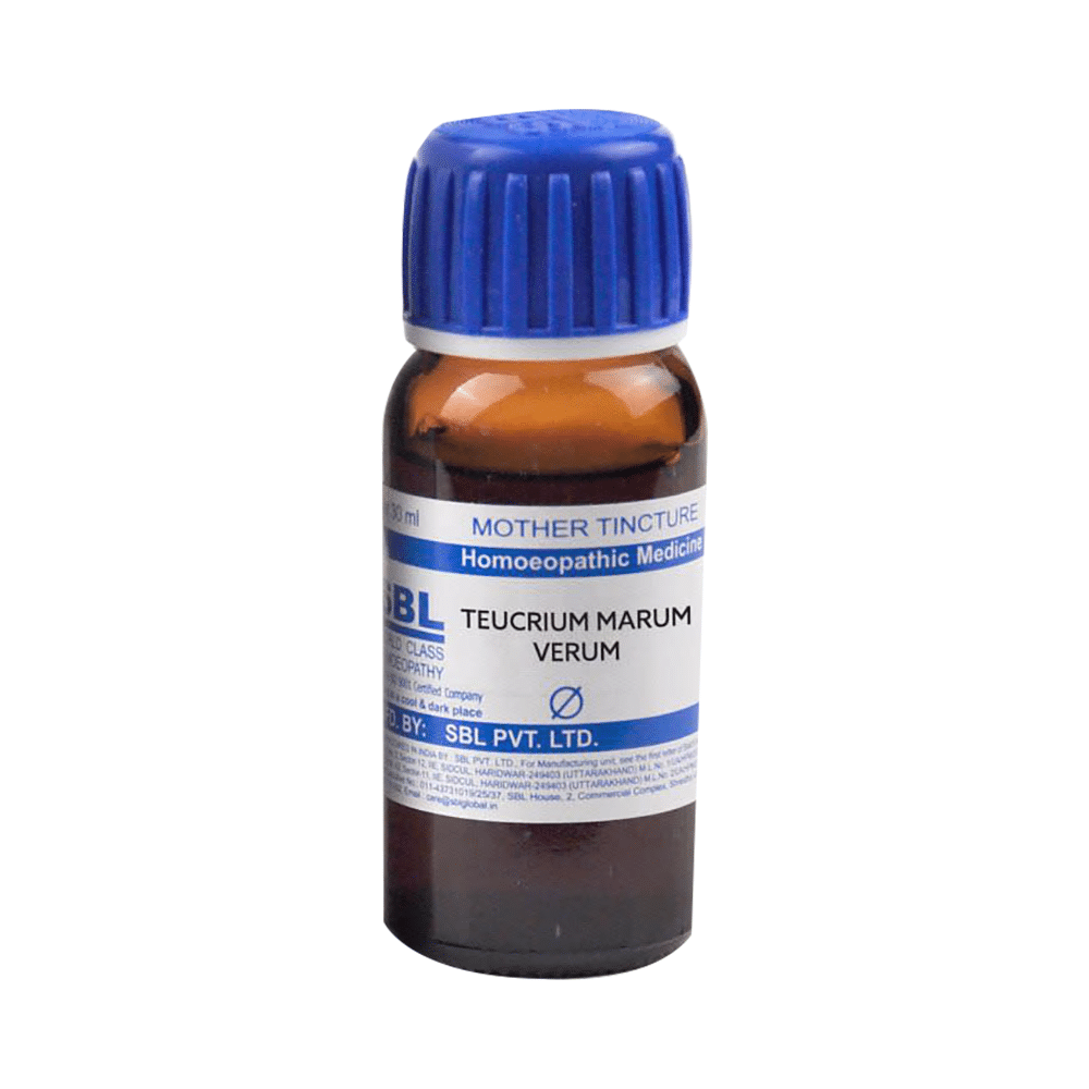 SBL Teucrium Marum Verum Mother Tincture Q - Image 2